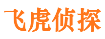 衡东市侦探调查公司